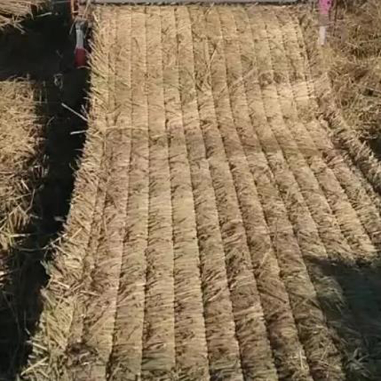 麻豆精品在线视频厂家批发