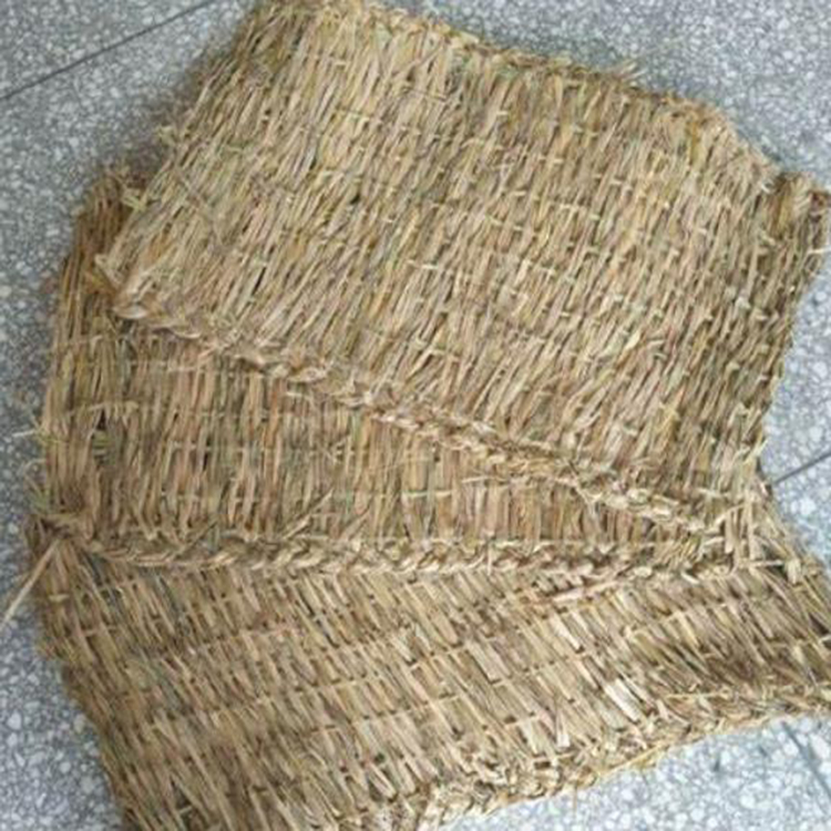 宁夏国产麻豆美女高潮免费视频厂家哪家好
